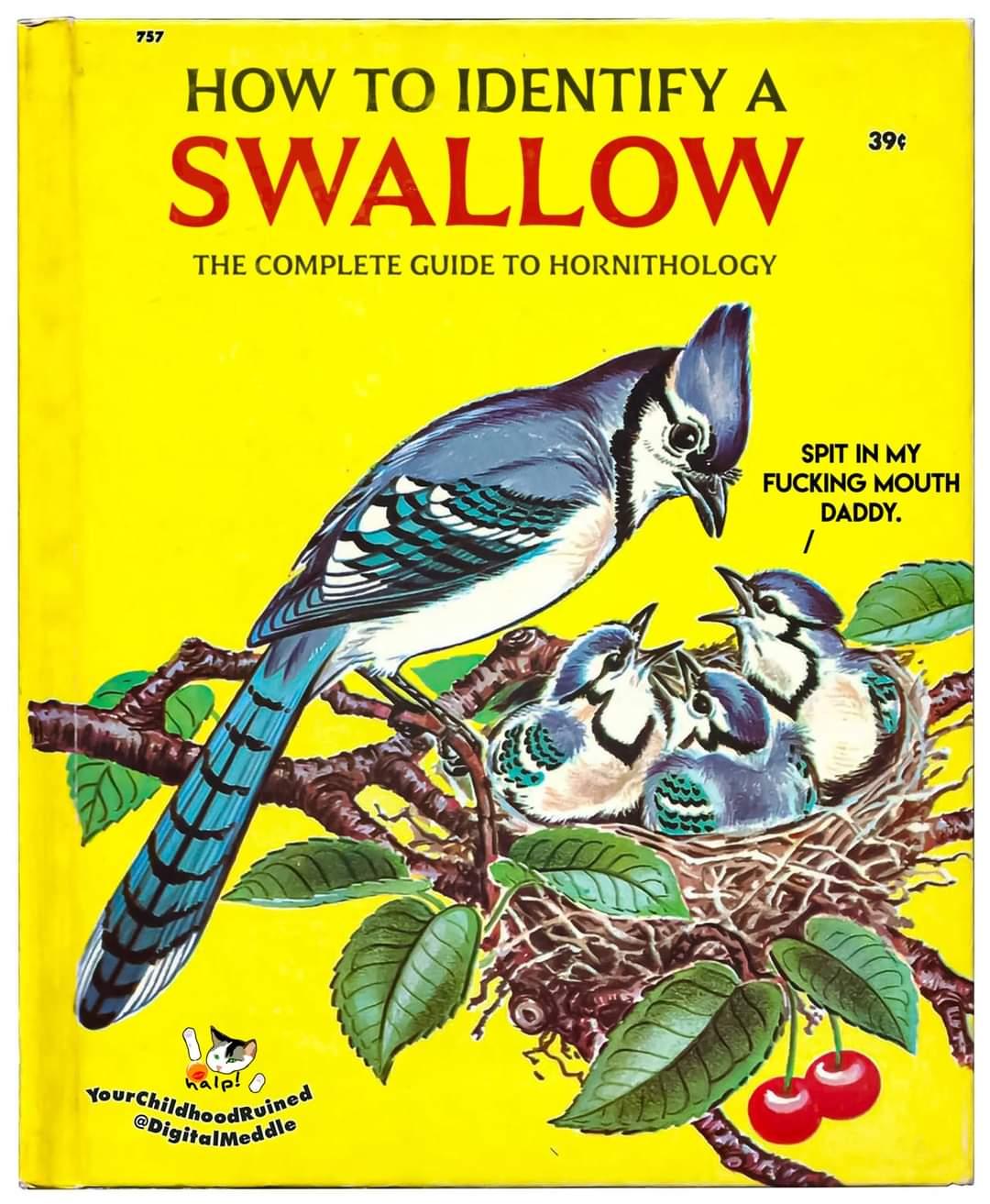 swallow.jpg