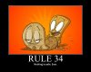 Rule34.JPG
