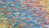 Wallpaper - Rainbow Bricks.jpg