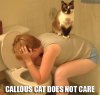 callouscat.jpg