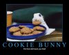 cookie_bunny.jpg
