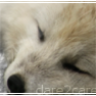 dare2care