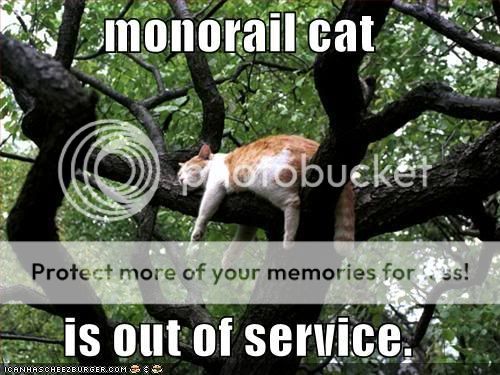 monorailcat-is-out-of-commission-1.jpg