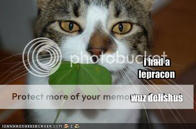 funny-pictures-your-cat-ate-a-lepre.jpg