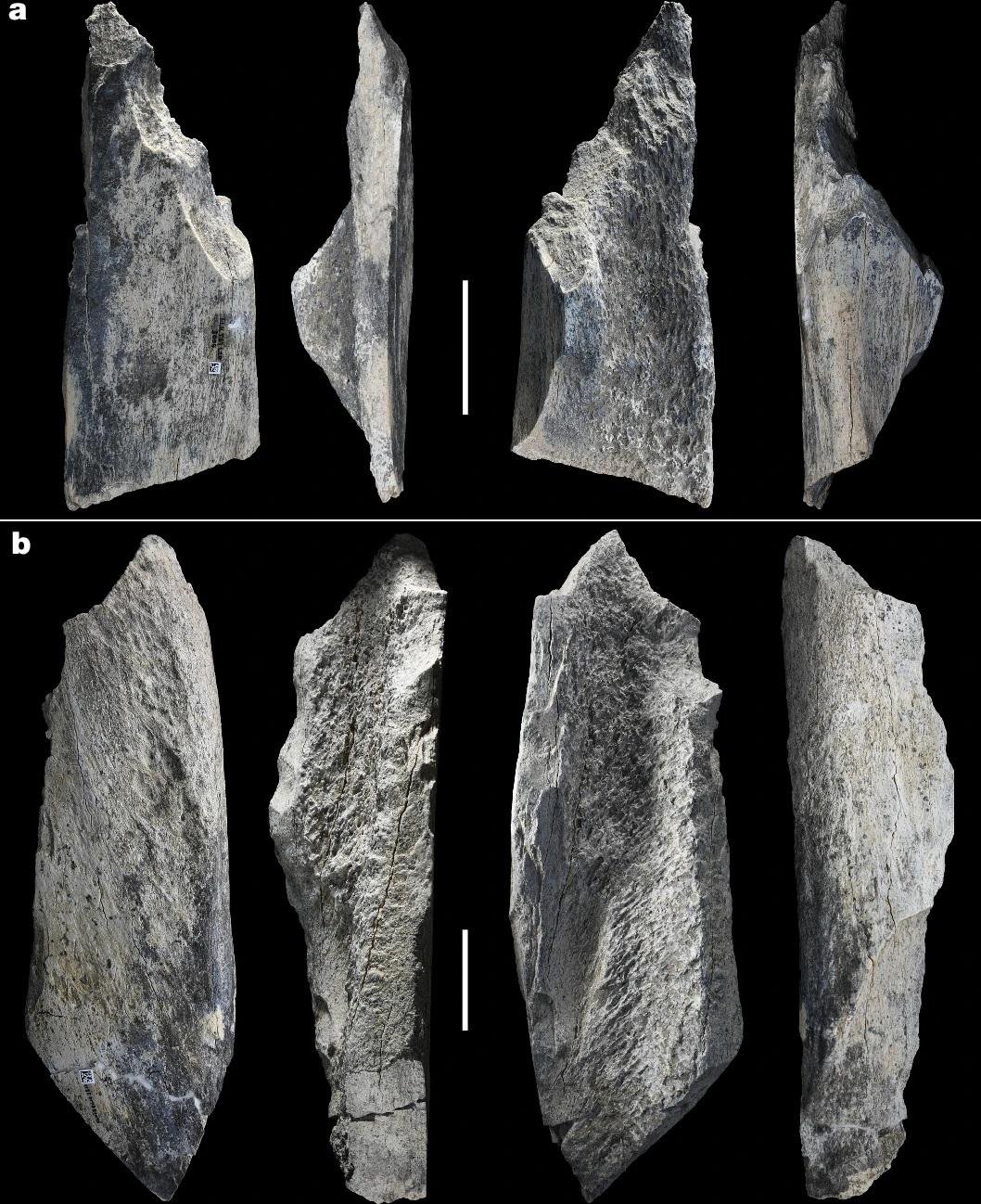 archaeologymag.com