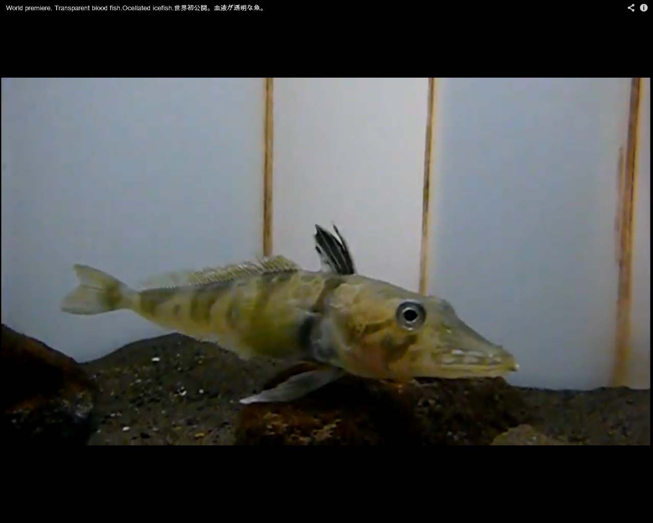 www.livescience.com