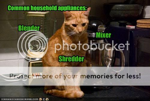 funny-pictures-your-cat-is-a-househ.jpg