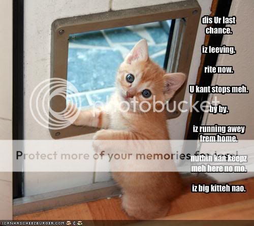 funny-pictures-your-kitten-threaten.jpg