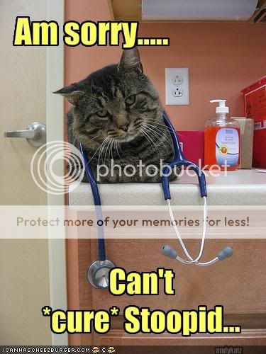 funny-pictures-cat-says-your-diseas.jpg