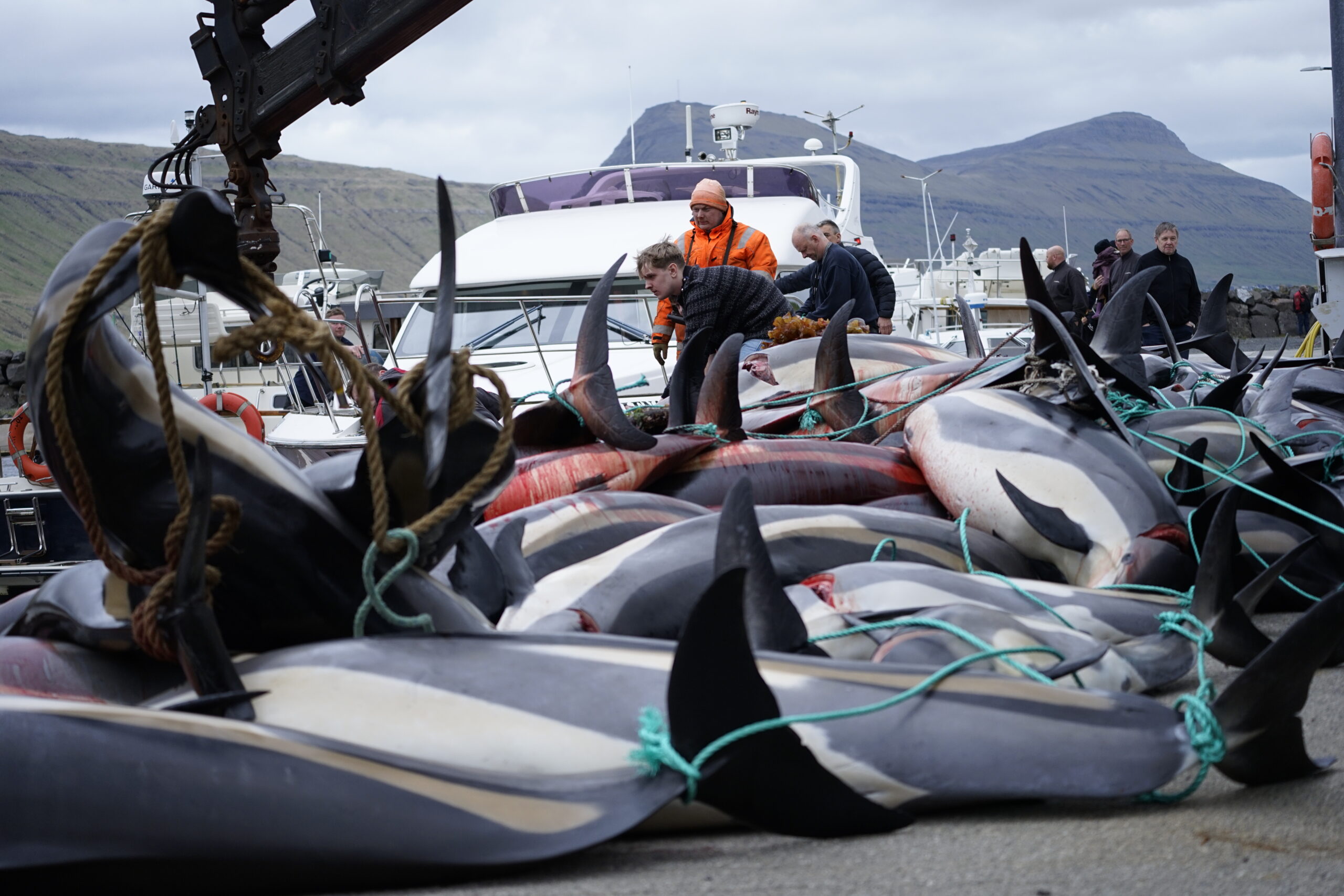 oceanographicmagazine.com