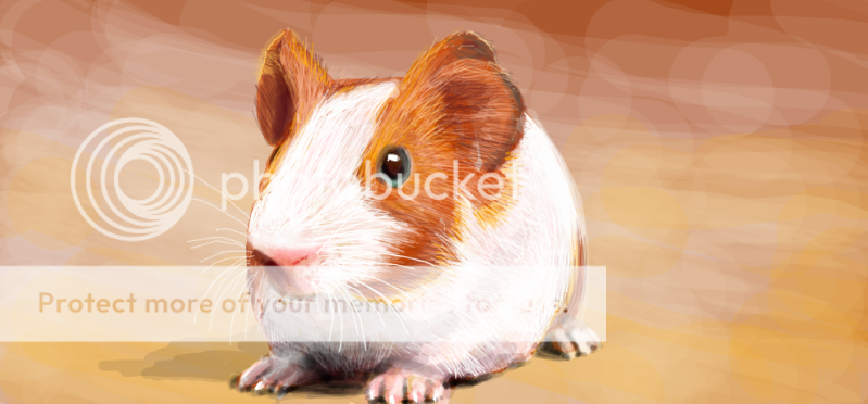 GuineaPig.png