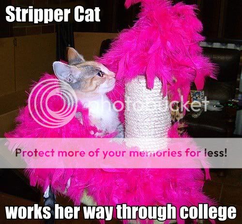 stripper.jpg