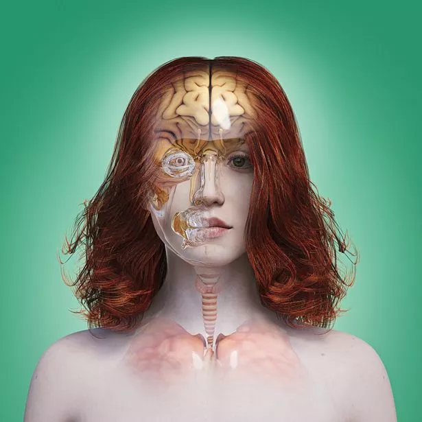 0_Organs-in-transparent-woman.jpg